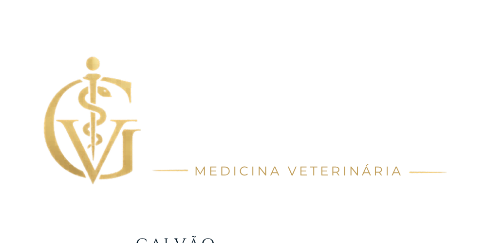 Logo Galvão Cardiologia